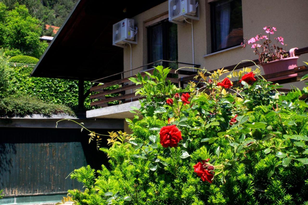 Na Kopitarjevi Hotel Laško Exterior foto