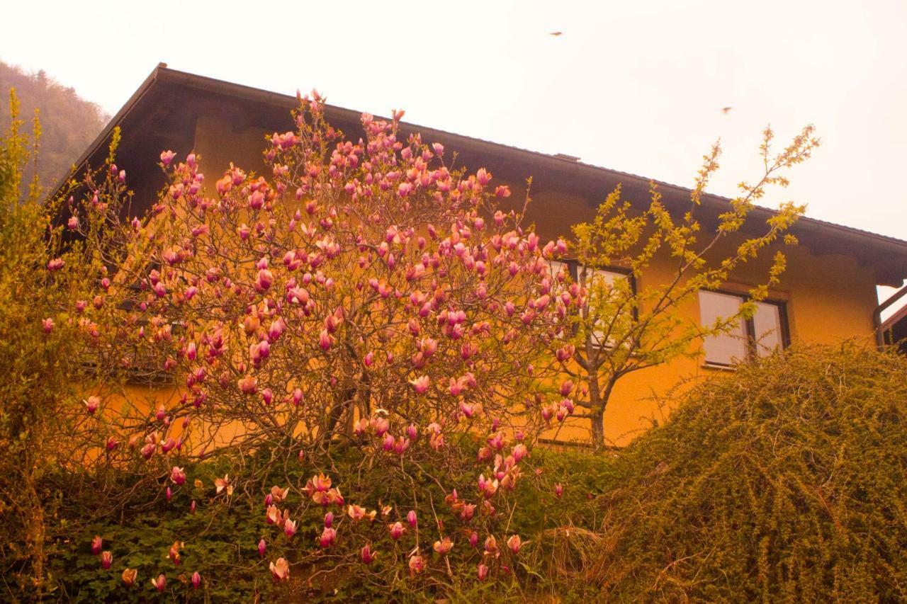 Na Kopitarjevi Hotel Laško Exterior foto