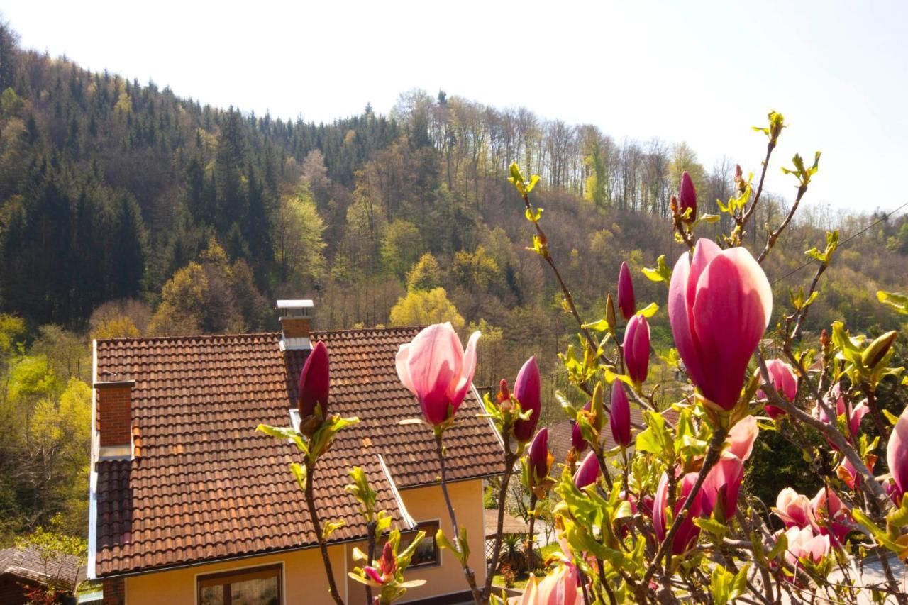 Na Kopitarjevi Hotel Laško Exterior foto