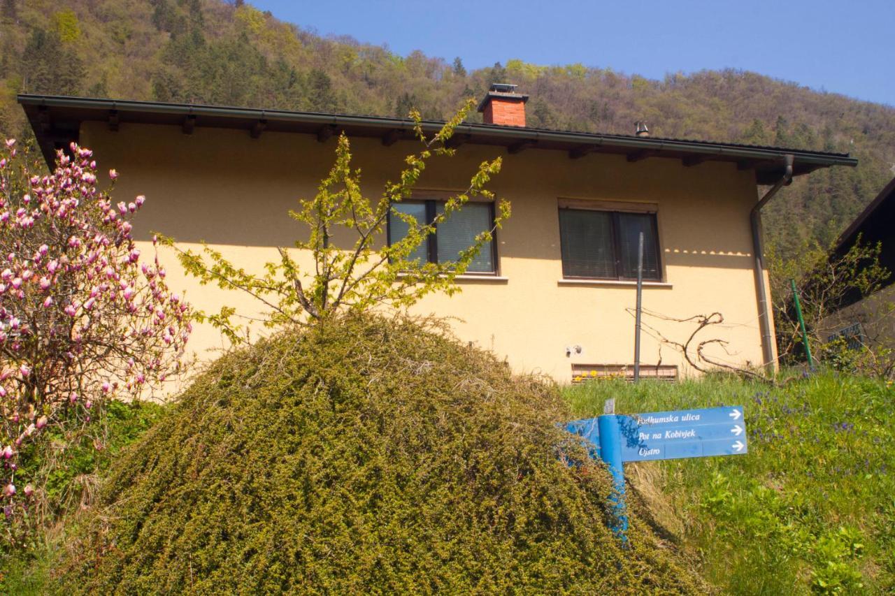 Na Kopitarjevi Hotel Laško Exterior foto